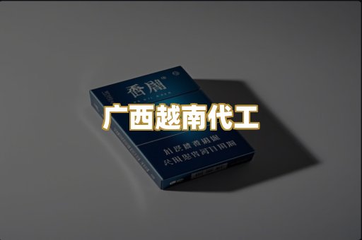广西越南代工